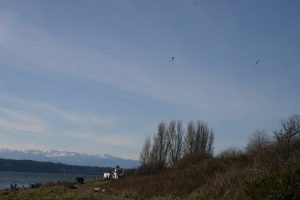 Seattle Natural Beaches | Burien Chevrolet