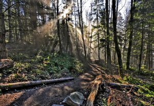 State Parks Near Burien, WA | Burien Chevrolet