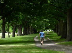 Jogger Running through woods in Burien, WA | Burien Chevrolet