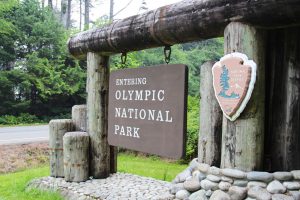 Olympic National Park | Burien Chevrolet