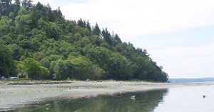 Burien, WA, Park, Burien Chevrolet