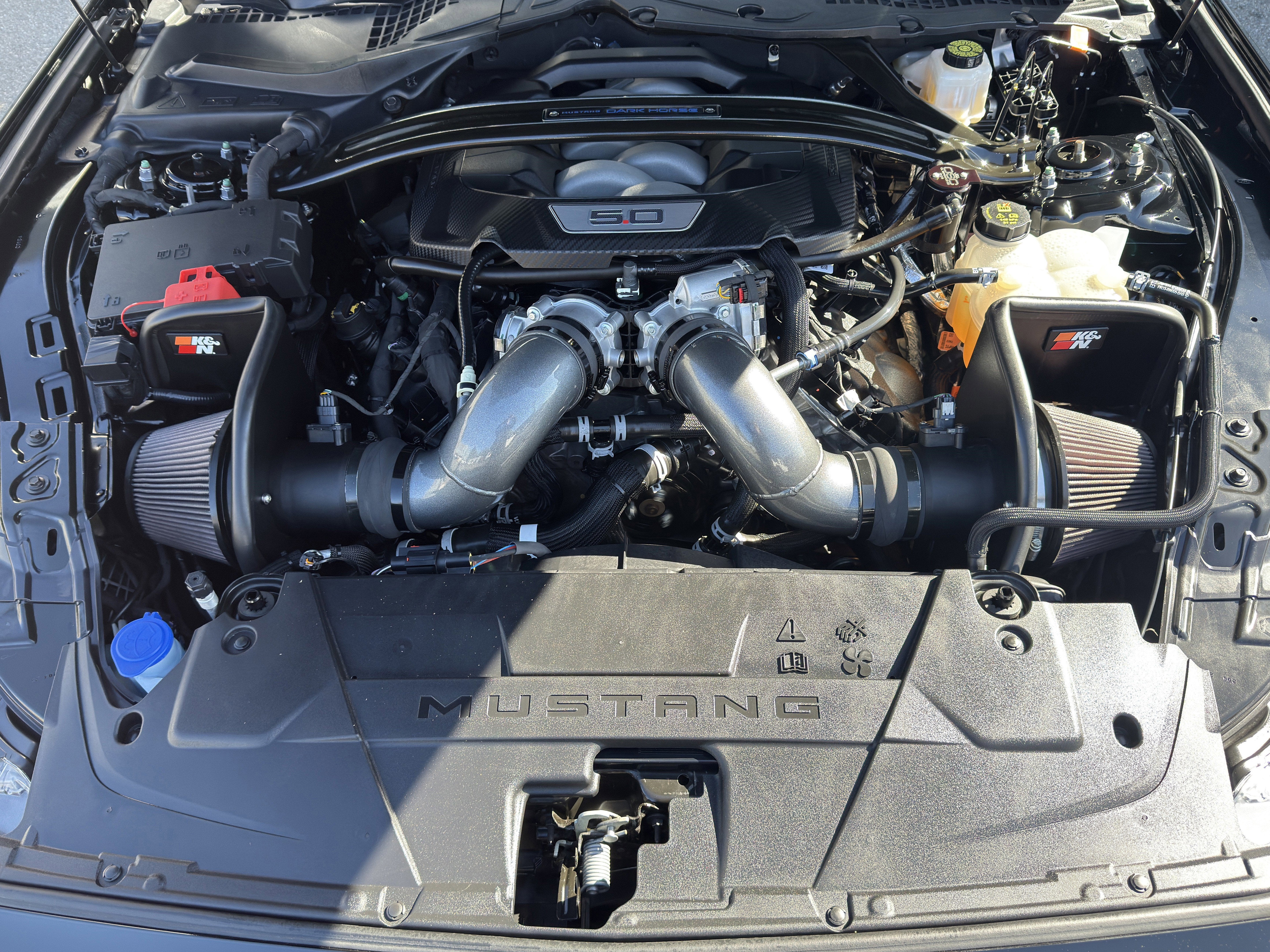 2024 Ford Mustang Dark Horse