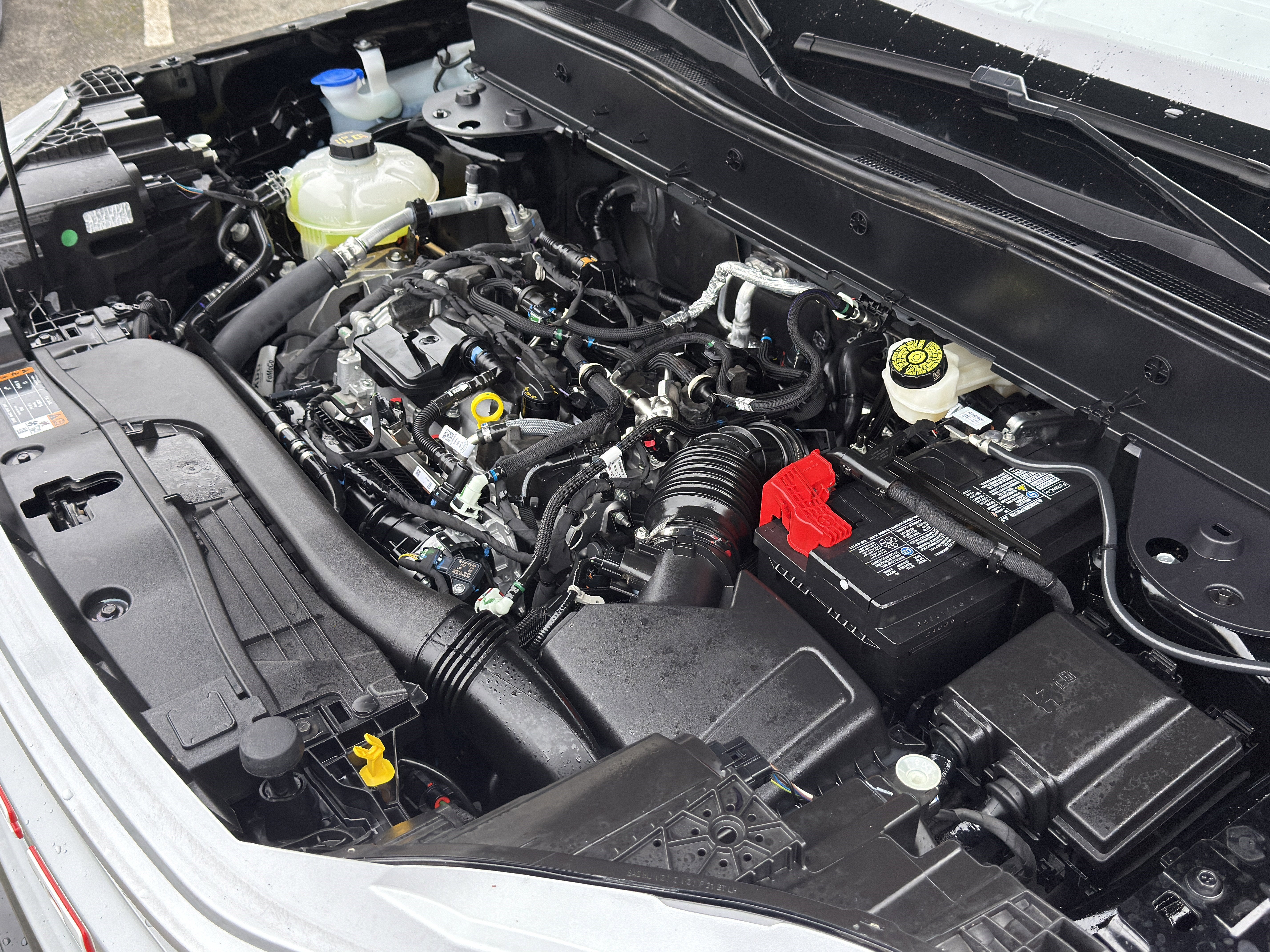 2024 Ford Bronco Sport Free Wheeling