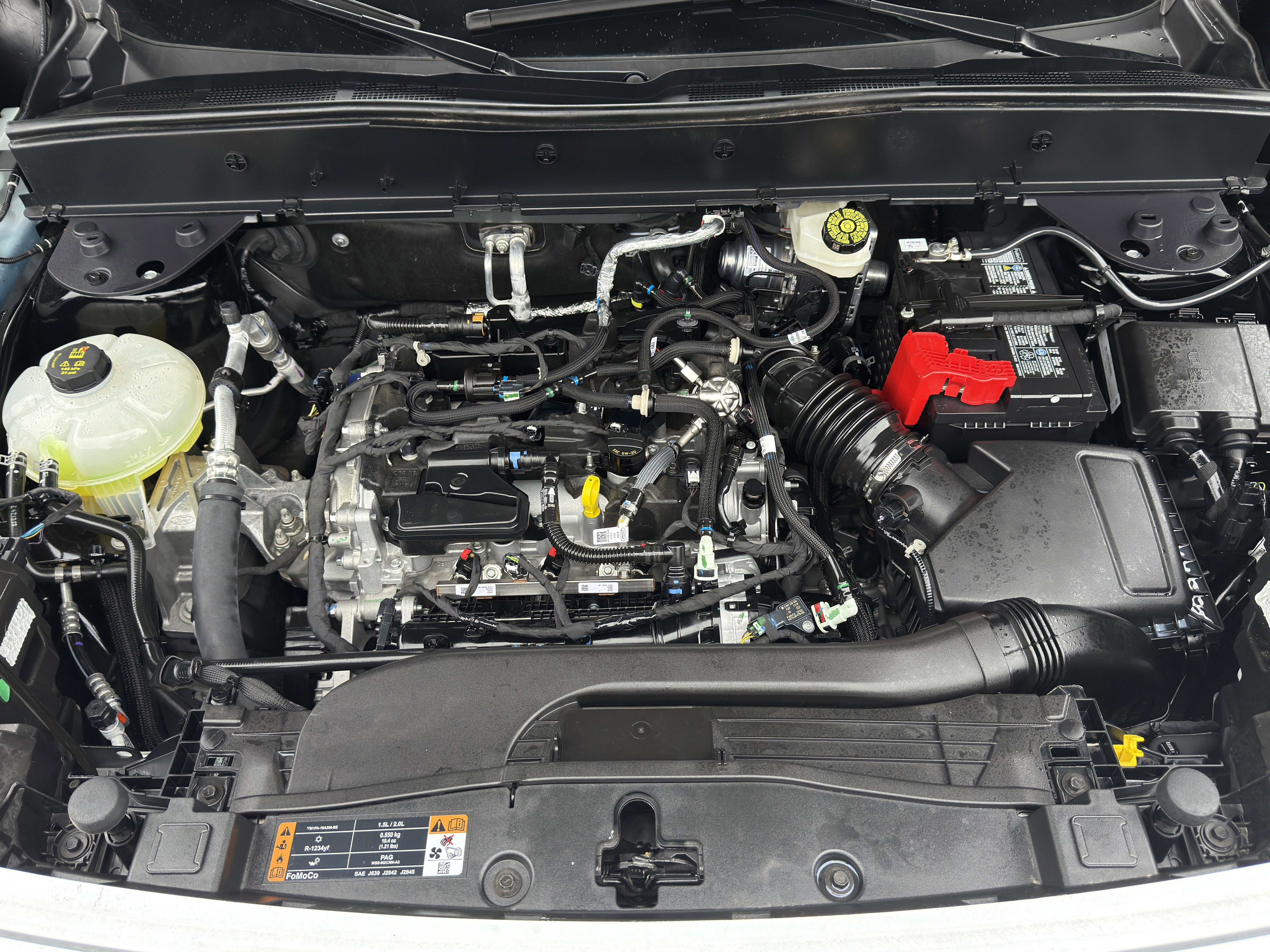 2024 Ford Bronco Sport Free Wheeling