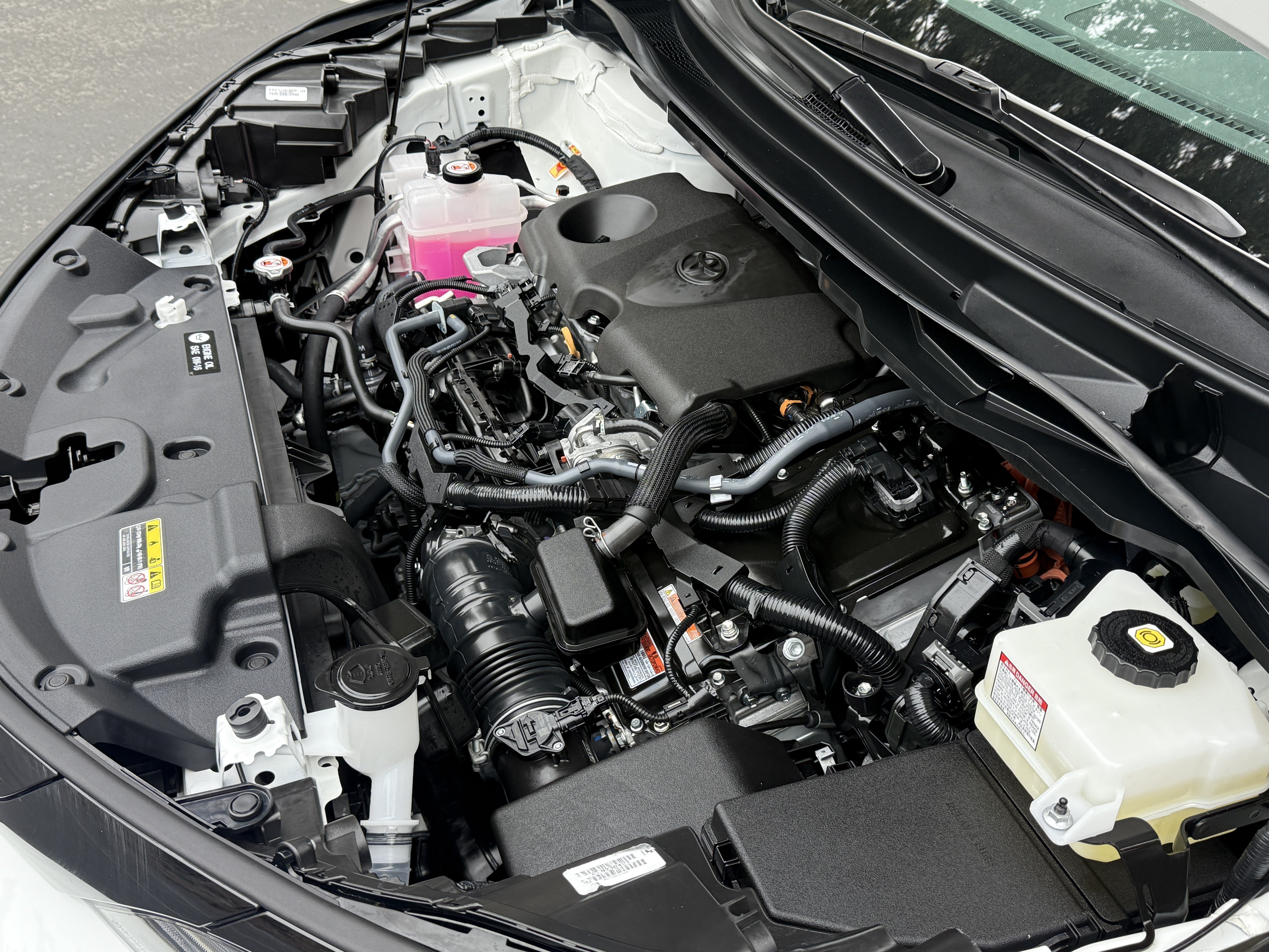 2025 Toyota Sienna XLE 8-Passenger