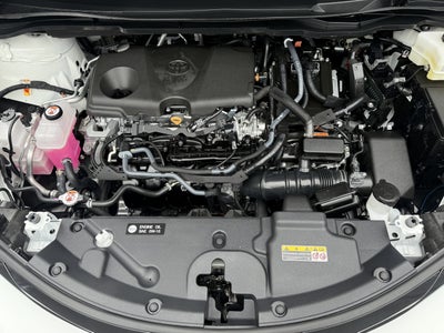 2025 Toyota Sienna XLE 8-Passenger