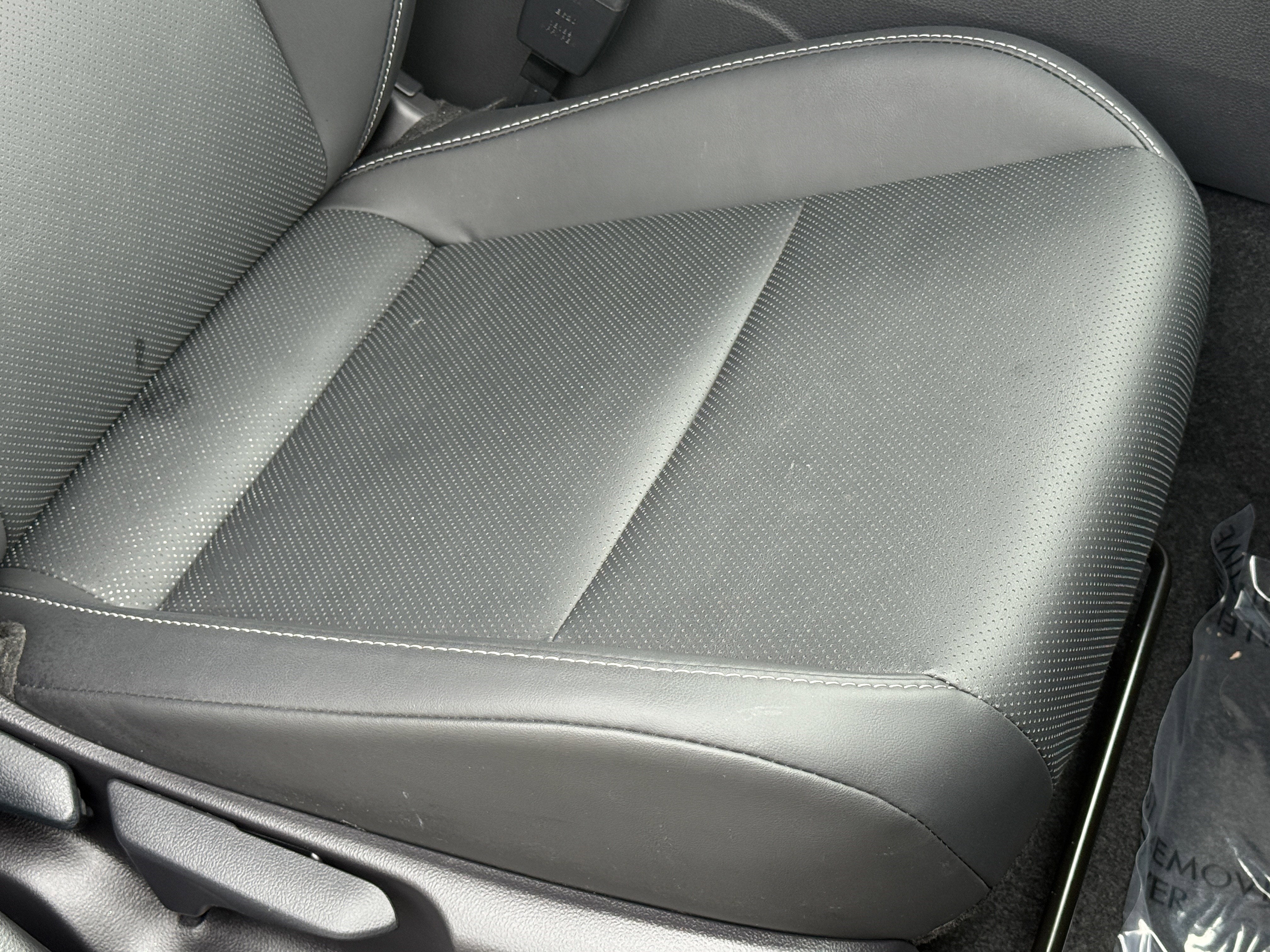 2025 Toyota Prius XLE