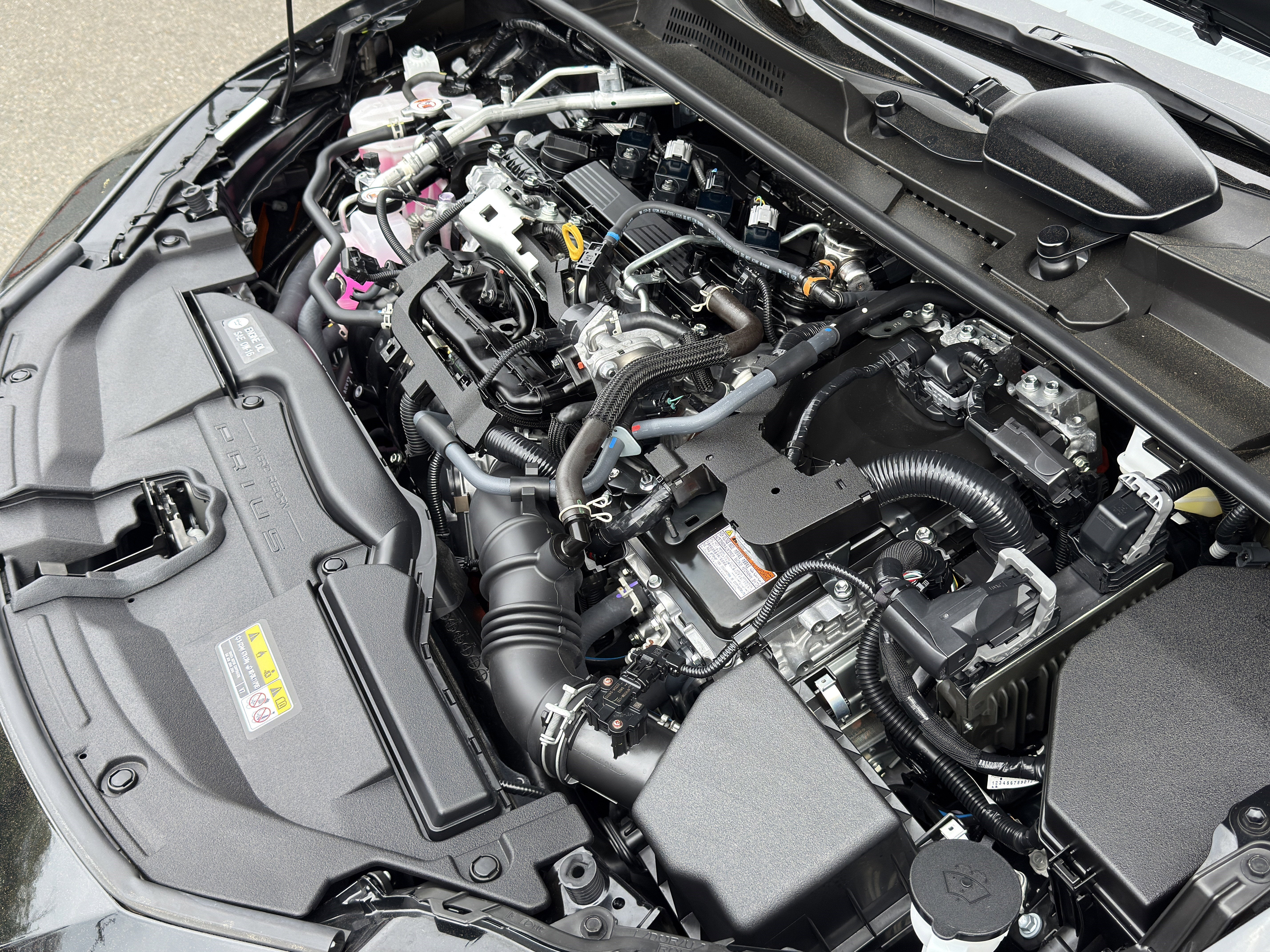 2025 Toyota Prius XLE