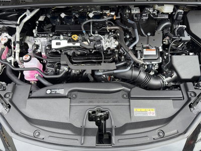 2025 Toyota Prius XLE
