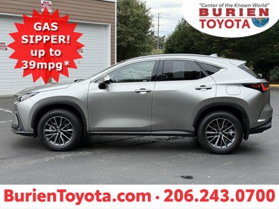 2024 Lexus NX Premium