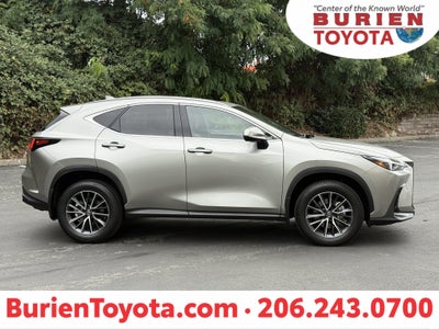2024 Lexus NX Premium