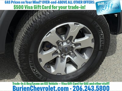 2013 Ford F-150 FX4